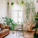 Indoor Plants for a Fresh Living Room Look