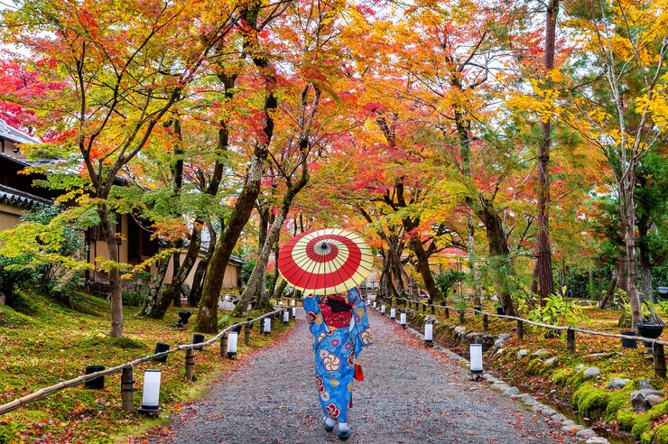 Day Trip to Nara