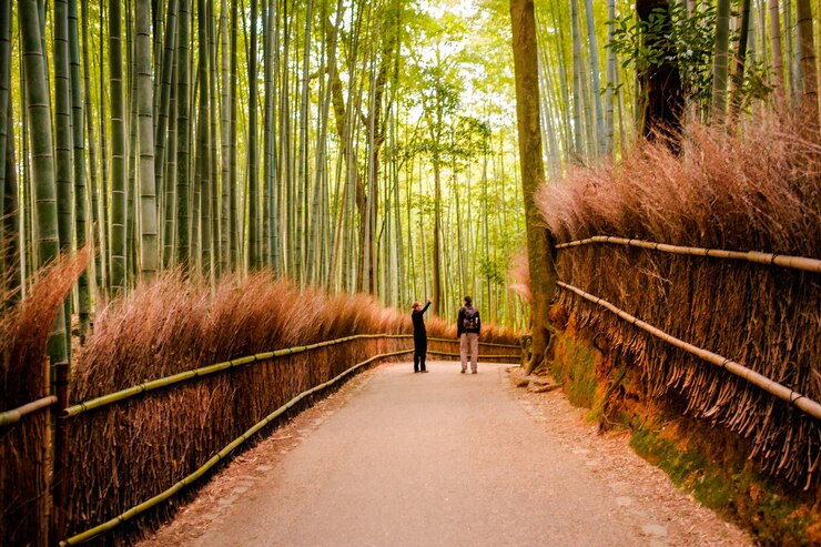 Arashiyama Bamboo Grove