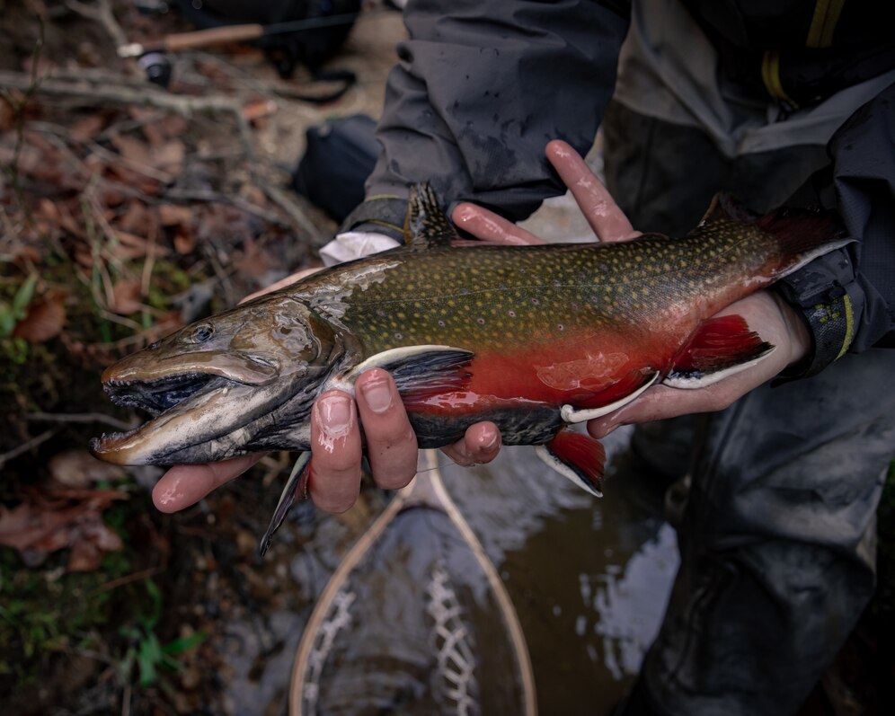 fishing