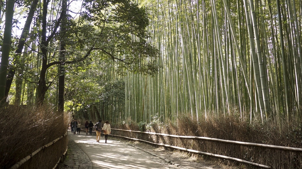 Kyoto, Japan