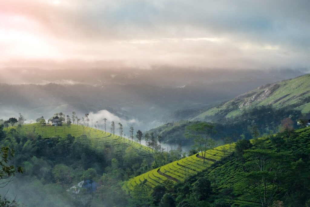 Munnar, Kerala